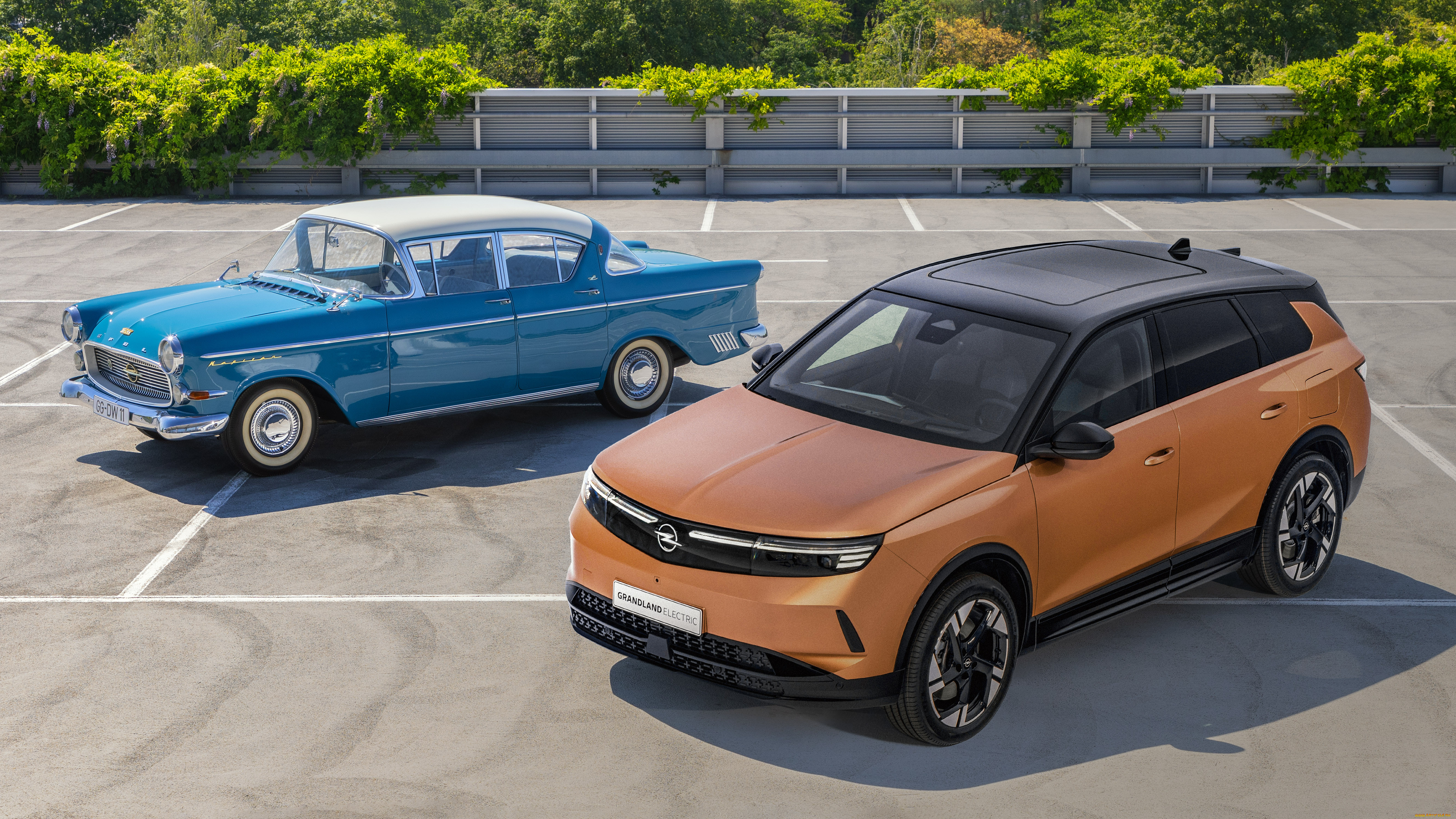 ����������, opel